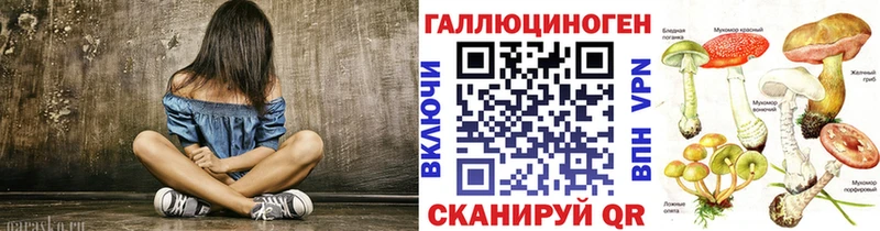 Купить закладки  Юрьевец  Псилоцибиновые грибы Psilocybine cubensis 